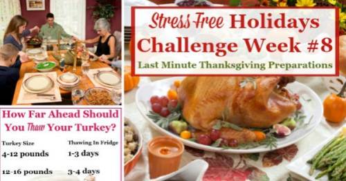 https://www.household-management-101.com/image-files/500x262xthanksgiving-stress-facebook-image-2.jpg.pagespeed.ic.G0DYkWVDO7.jpg