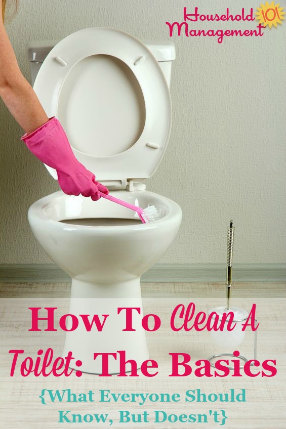 How To Clean A Toilet: The Basics