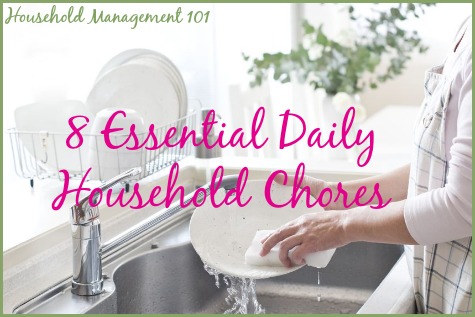 Everyday Household Cleaning